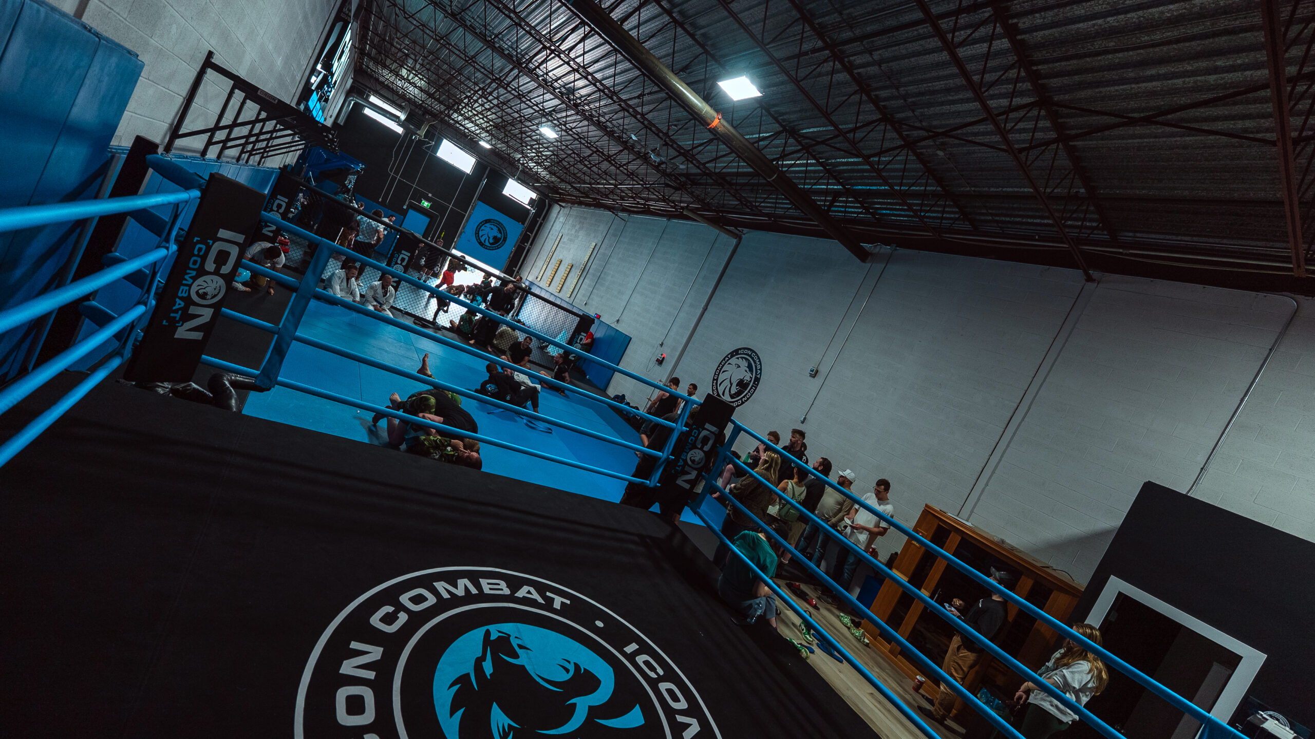 ALL CLASSES (KICKBOXING, BOXING, BJJ, MMA) (Ages 15+)